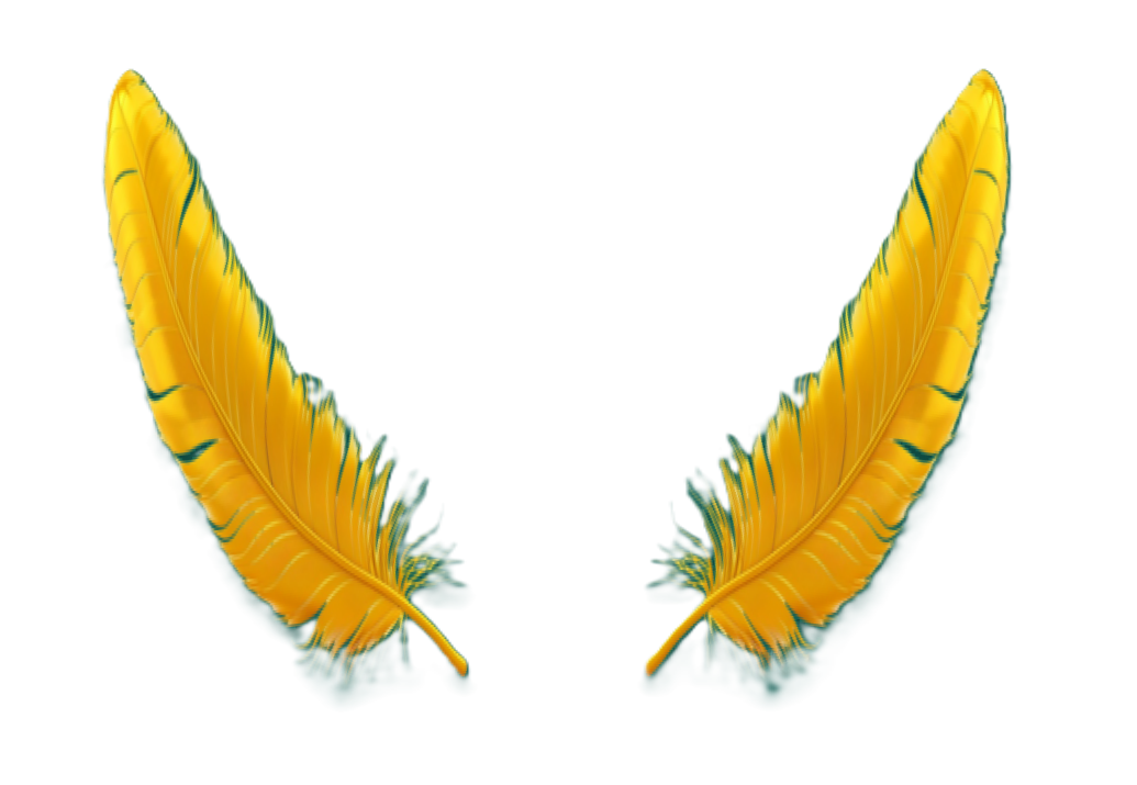 feathers